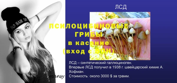 стафф Алзамай