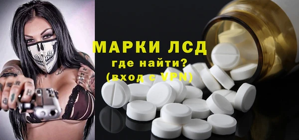 стафф Алзамай