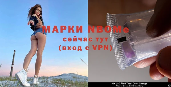сатива Алексеевка