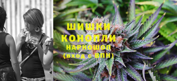 сатива Алексеевка