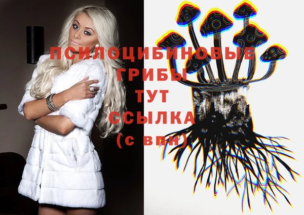 сатива Алексеевка
